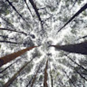 Meet your Posher, Ayla